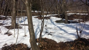 20150212_124125 